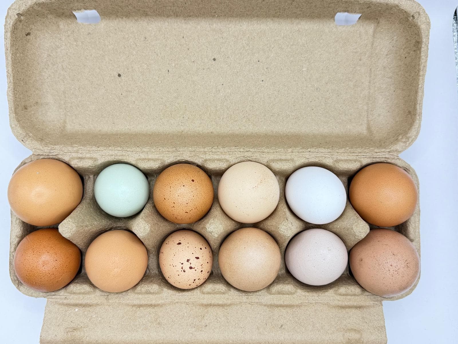 Mixed Size Eggs