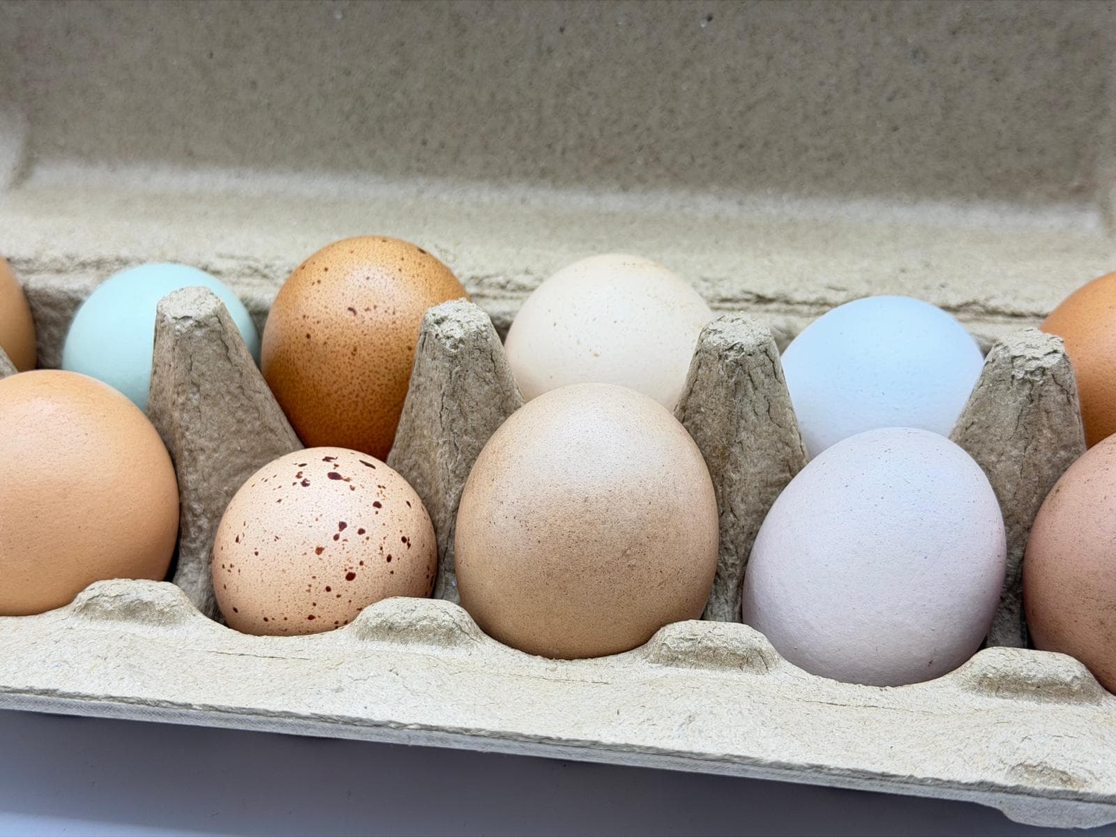 Mixed Size Eggs