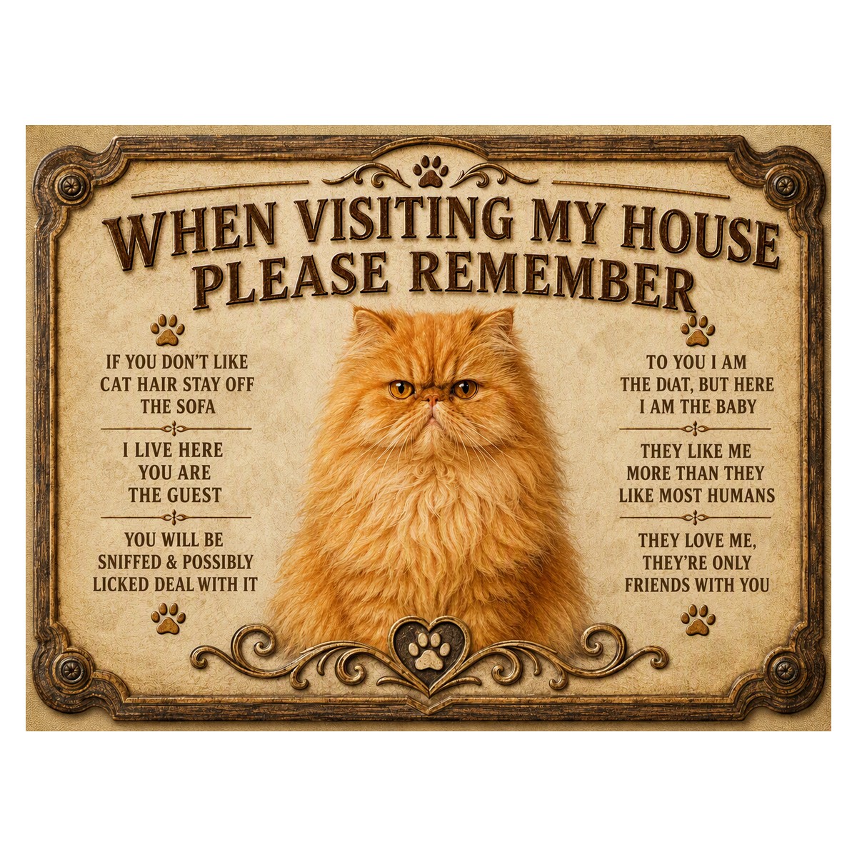 When Visiting My House — Ginger Persian Cat Sign