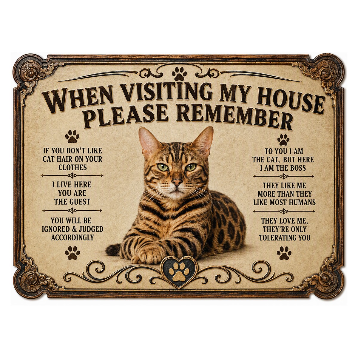 When Visiting My House — Tabby Cat Sign